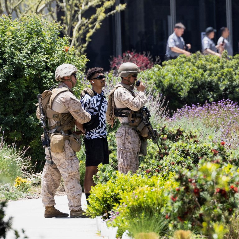 Marines, in a Rare Move, Briefly Detain Man in Los Angeles