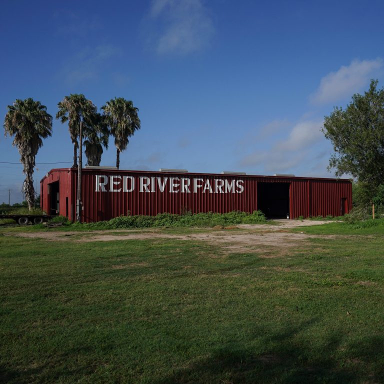 Trump’s Border Policies Leave Some Farms Empty and Workers Fearful